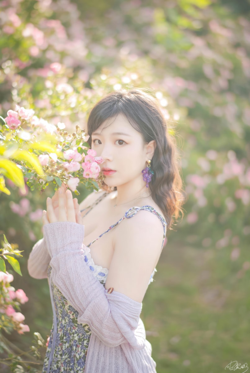 皮皮奶可可爱了啦#蔷薇花--精品推荐! 皮皮奶可可爱了啦#蔷薇花--精品推荐!