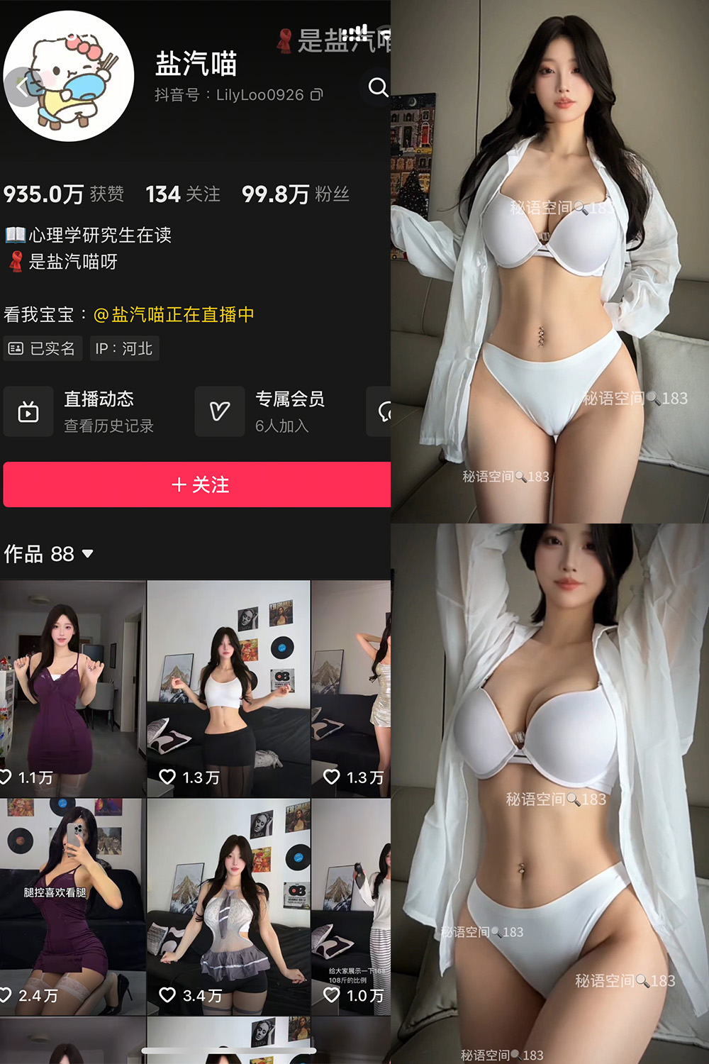盐气喵 秘语空间 NO.017期--精品推荐! 盐气喵 秘语空间 NO.017期--精品推荐!