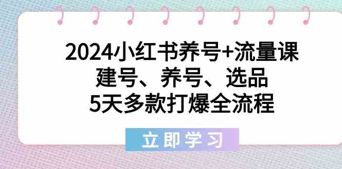 2024小红书养号+流量课：建号、养号、选品，5天多款打爆全流程2769 作者:福缘创业网 帖子ID:106497 
